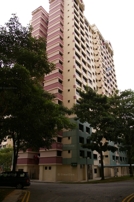 Blk 291A Bukit Batok Street 24 (Bukit Batok), HDB 4 Rooms #340352